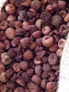 Boiled Betel Nuts