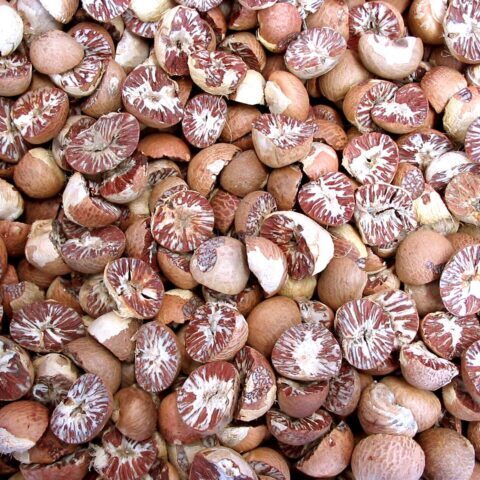 Split Betel Nuts
