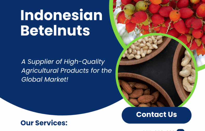 Full Ver asnbaff.com 4 Indonesian Betelnuts for Global Supply and Distribution